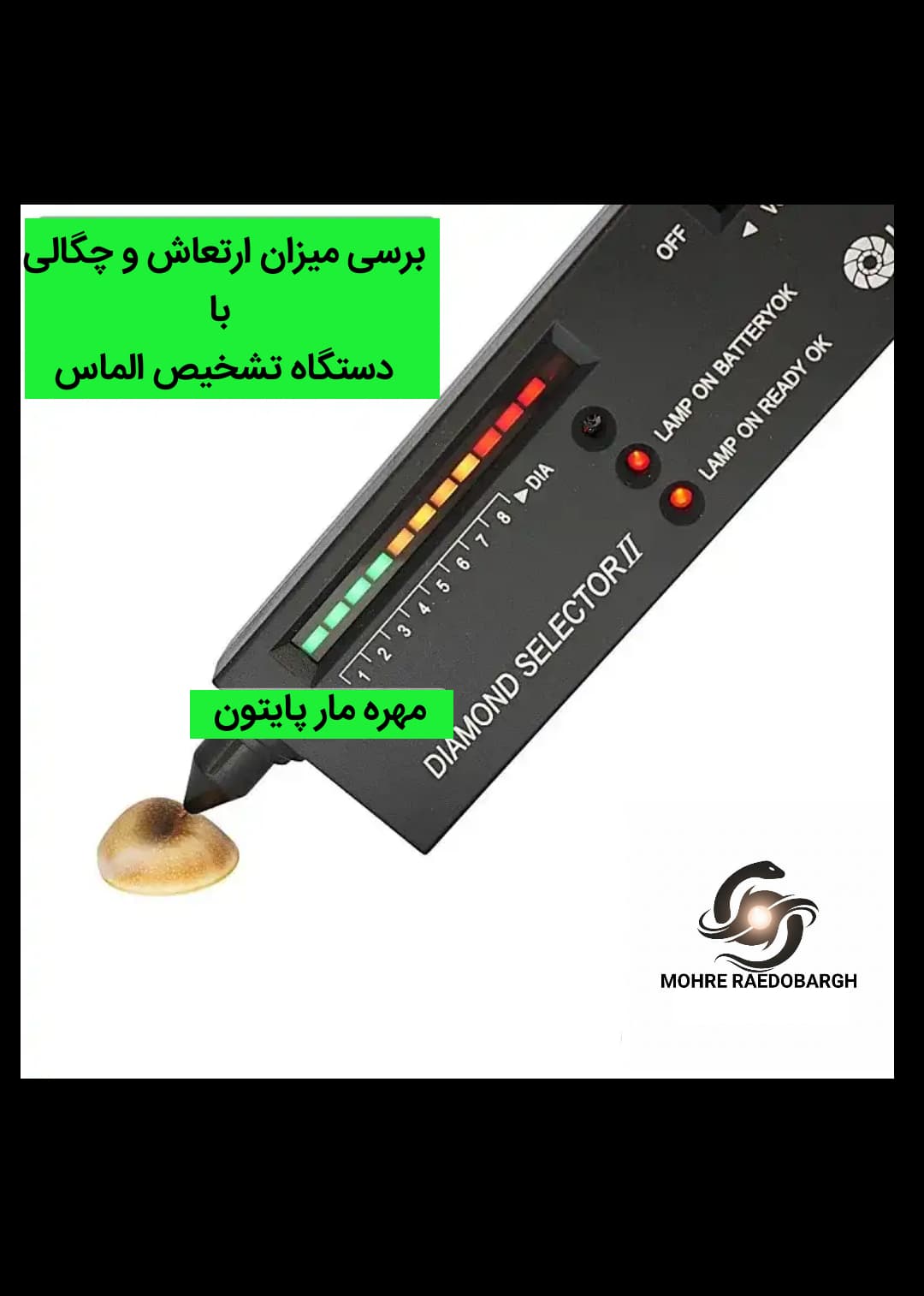 مهره مار پایتون اصلی | ضمانت ۱۰ ساله و شناسنامه — تصویر ۳