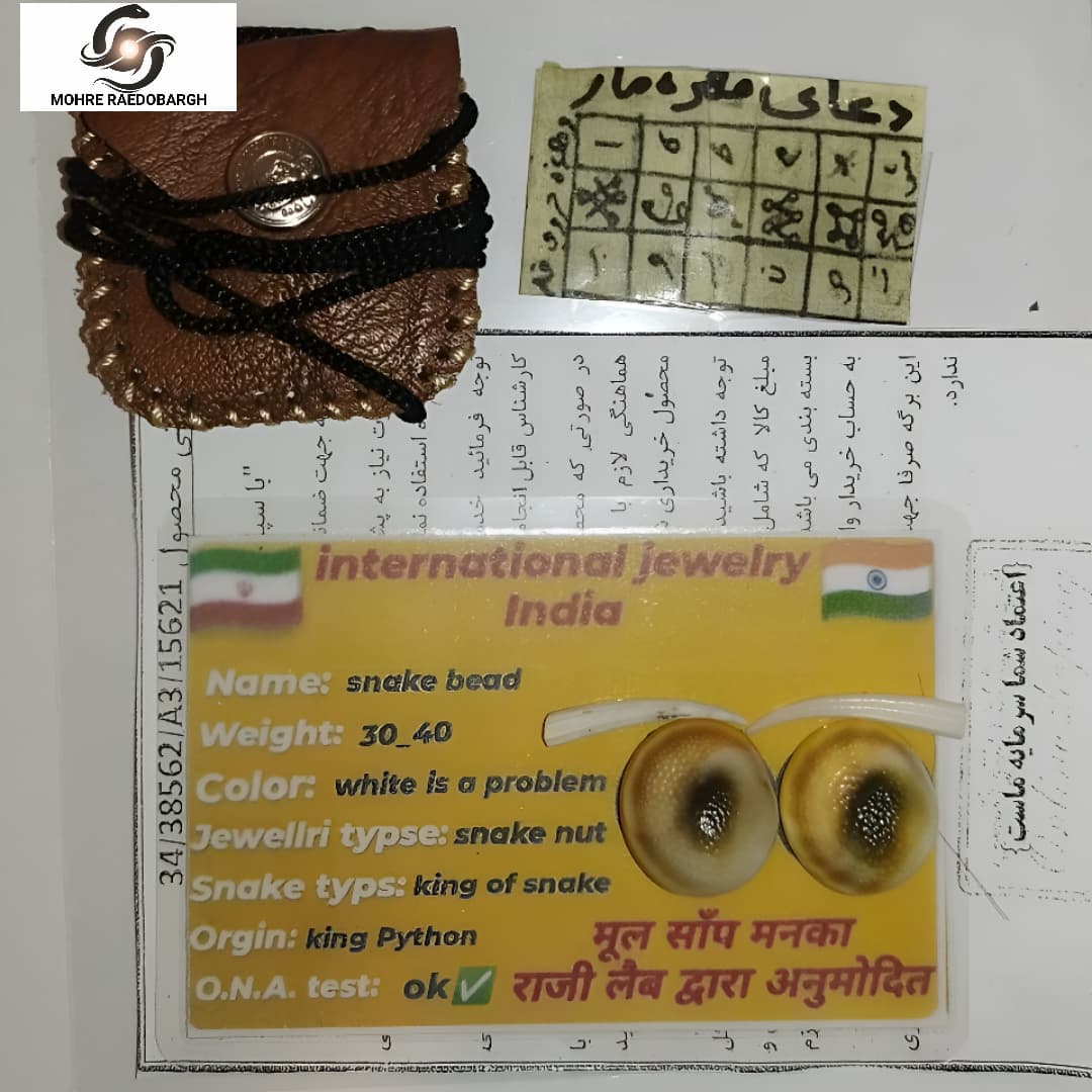 مهره مار پایتون اصلی | ضمانت ۱۰ ساله و شناسنامه — تصویر ۴