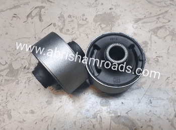 بوش بزرگ طبق آریو Ario Z300