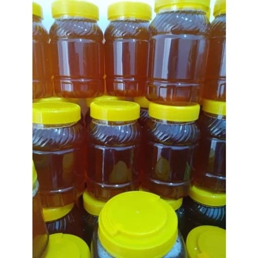 عسل درجه یک گون مستقیم از زنبوردار