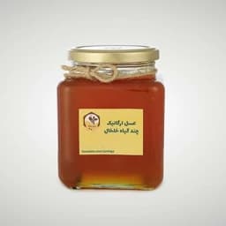 عسل تازه ارگانیک خام چند گیاه دیابتی شهد روان (1کیلو) برداشت شهریور1405 — تصویر ۲