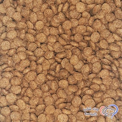 غذای خشک جوسرا جوسی گربه بالغ طعم مرغ فله ای (بسته بندی رابینسه) – اورجینال — تصویر ۲