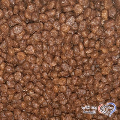 غذای خشک بچه گربه کیتن جوسرا سوپر پرمیوم فله ای (بسته بندی رابینسه) – اورجینال — تصویر ۲