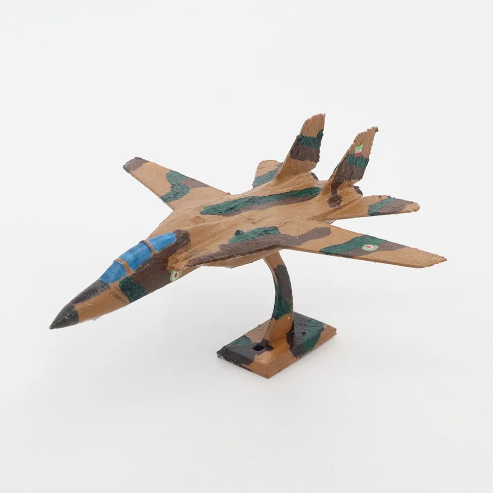 ماکت اف-۱۴ تام‌کت‌ F-14 Tomcat (ML011)