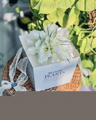 سفارش دسته گل برای کلینیک سپید تهران