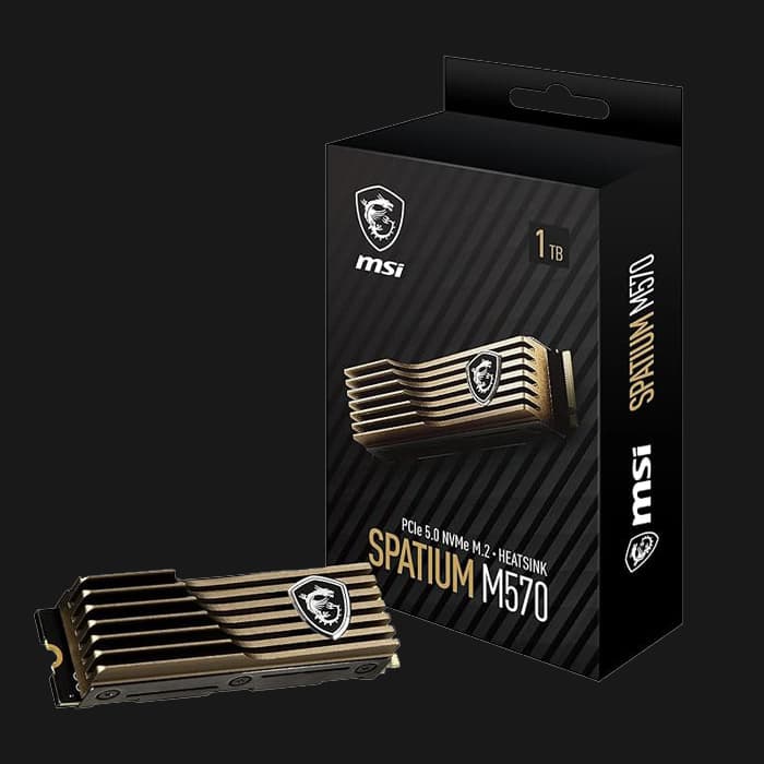 اس اس دی ام اس آی SPATIUM M570 HS PCIe 5.0 NVMe M.2 1TB