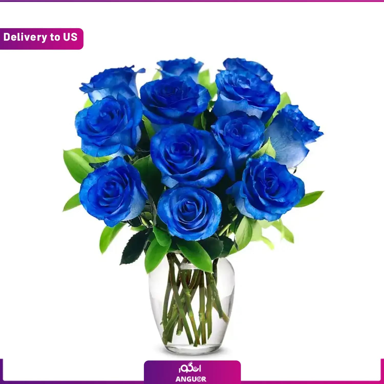 دسته گل 12 شاخه رز آبی (تحویل در امریکا)