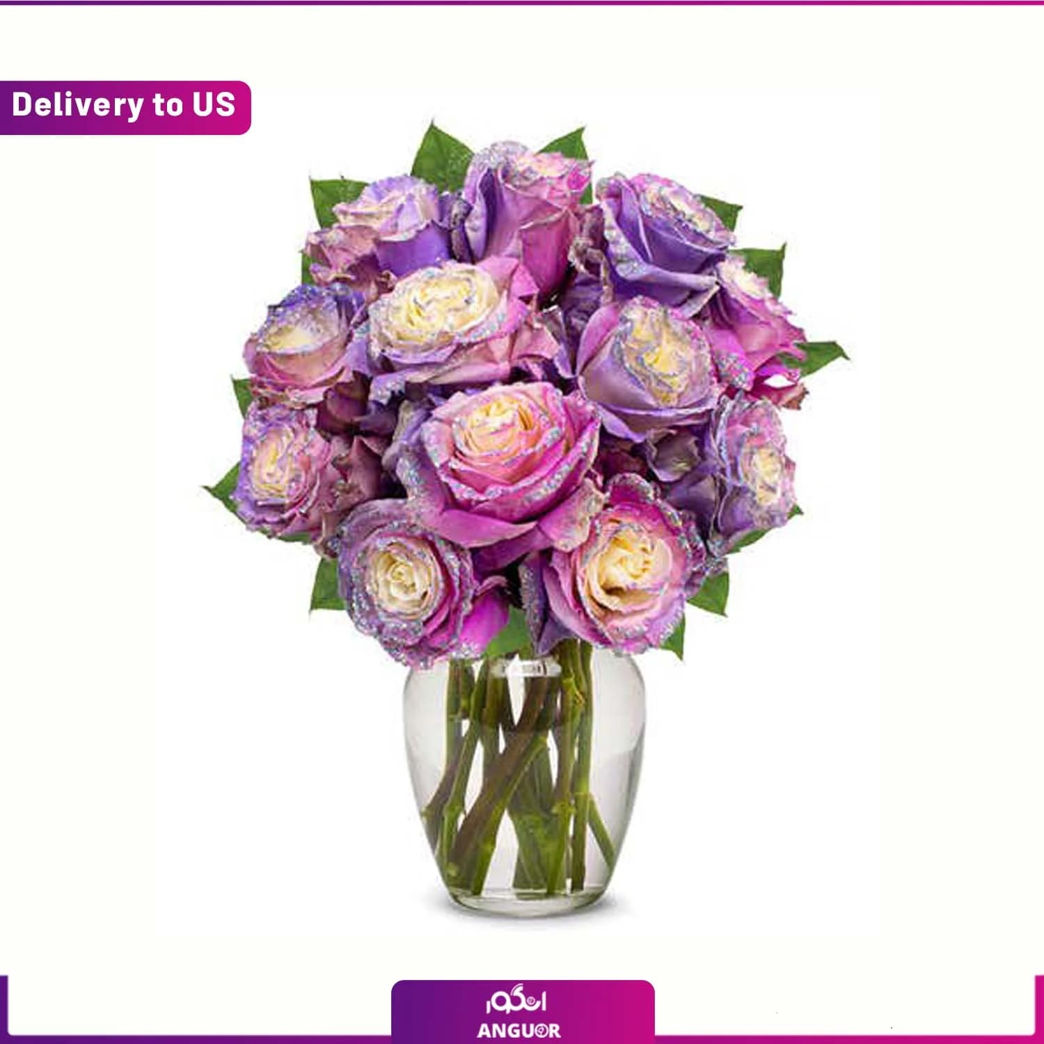 (Delivery to USA) Purple Pastel Roses