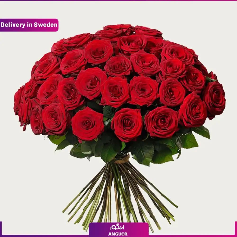 دسته گل رز قرمز 50 شاخه (ارسال گل به سوئد )