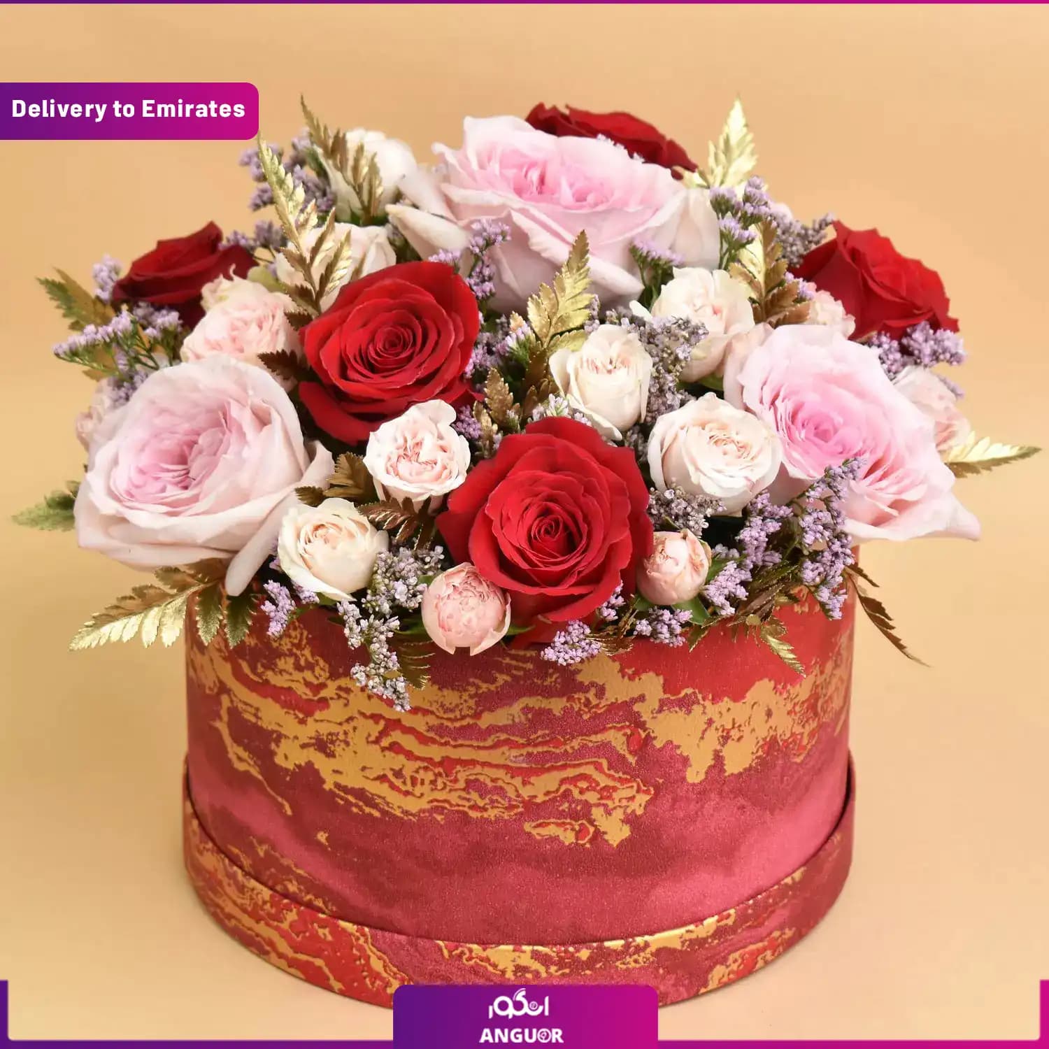باکس ویژه (دبی و امارات) — تصویر ۲