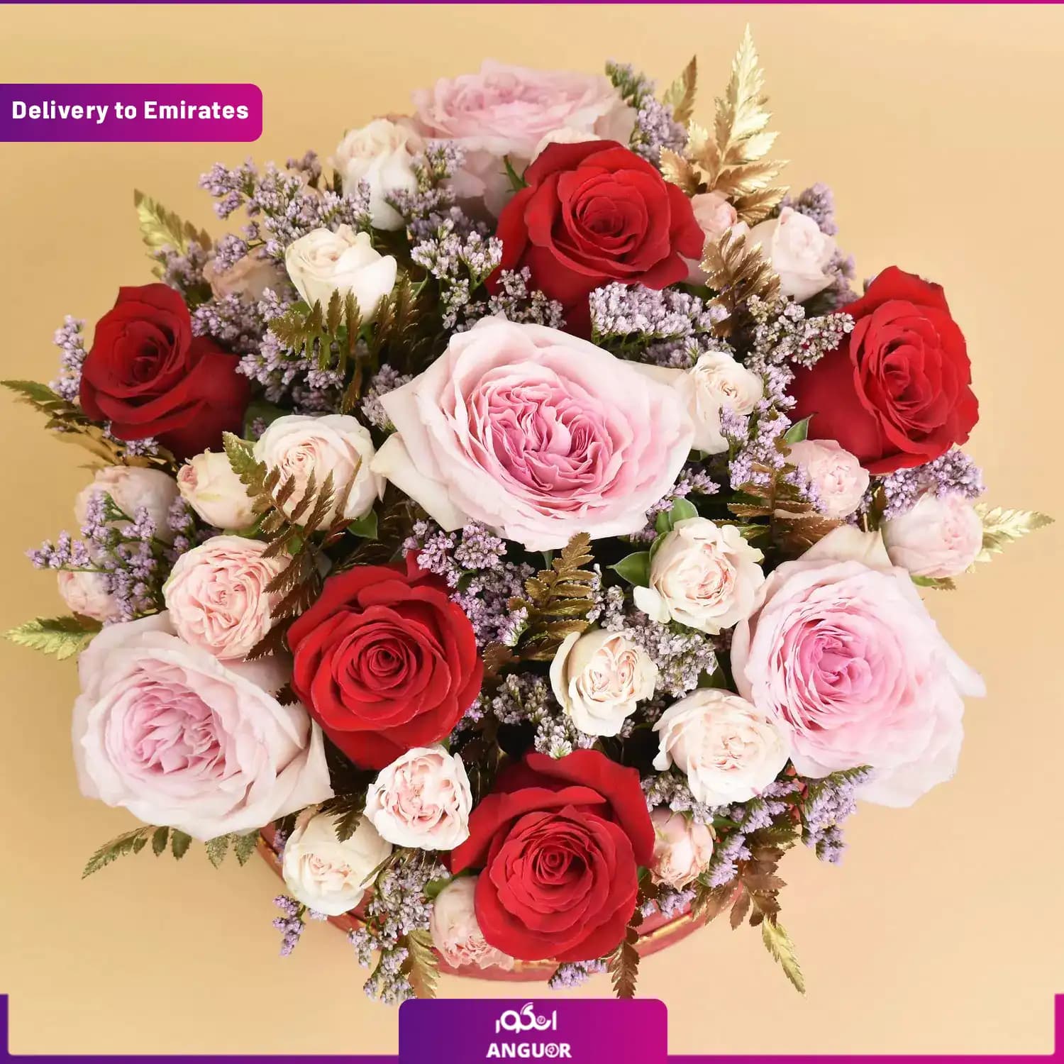 باکس ویژه (دبی و امارات) — تصویر ۳