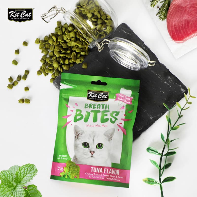 تشویقی دنتال گربه کیت کت (Kit Cat) با طعم ماهی تن – وزن ۶۰ گرم — تصویر ۳