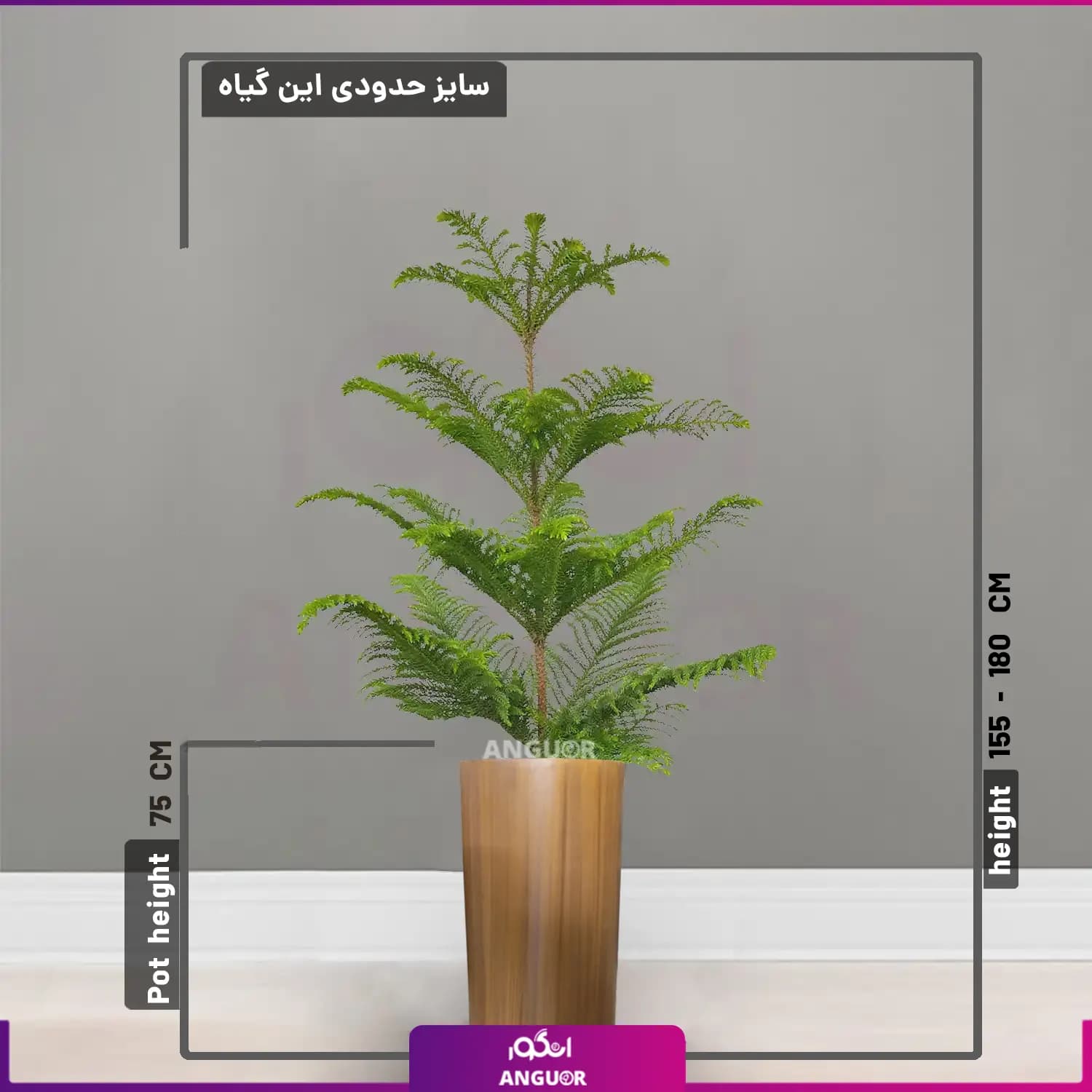 گلدان فایبرگلاس طرح چوب همراه با کاج مطبق — تصویر ۲