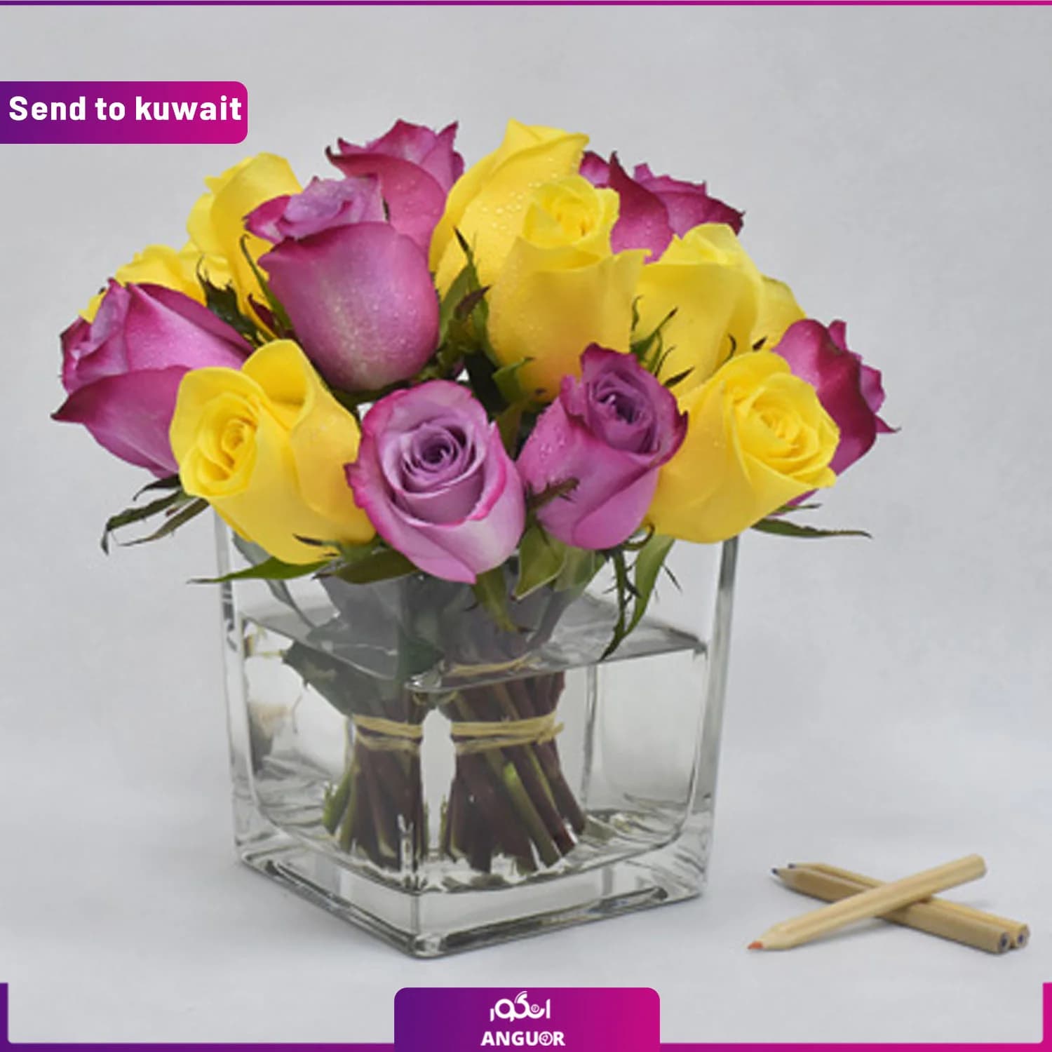 گل رز زرد و بنفش (ارسال گل به کویت)