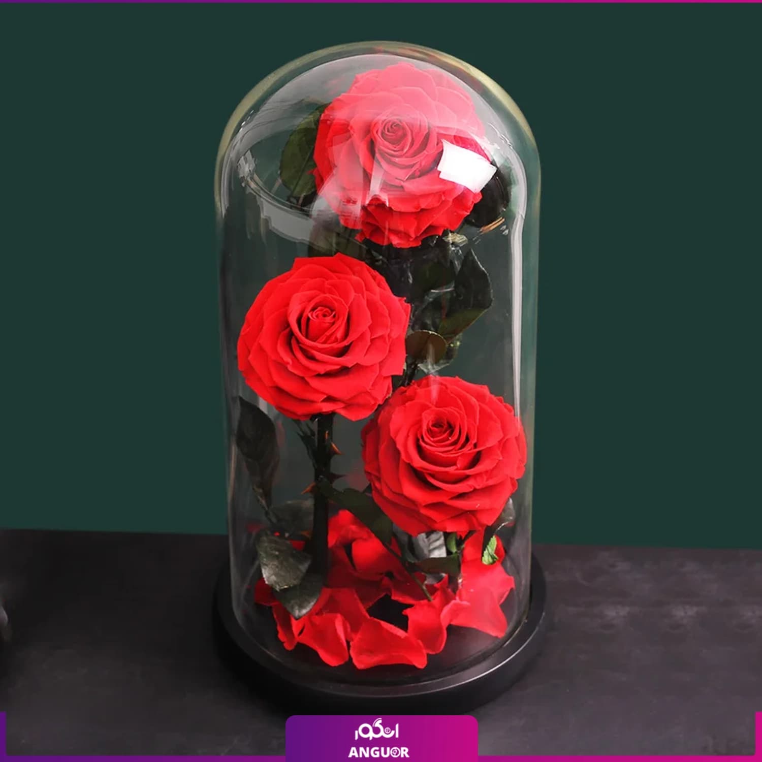 رز جاودان هفت قرمز سه شاخه VIP