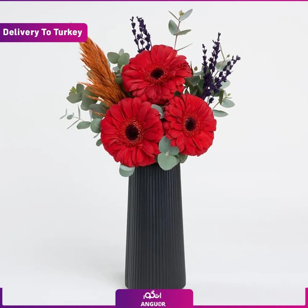 دسته گل ژربرا قرمز (ارسال گل به ترکیه)