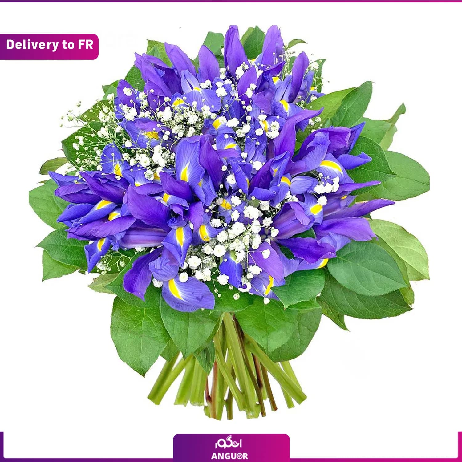 (Delivery to France) Bouquet of Iris Van Gogh