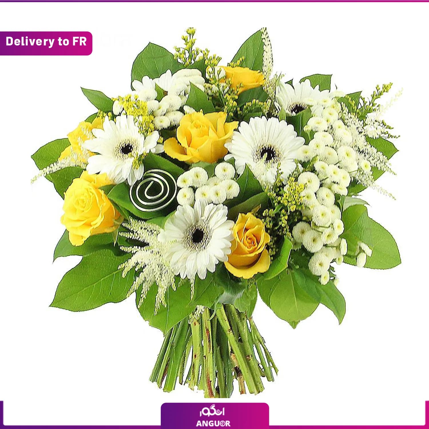 (Delivery to France) Golden