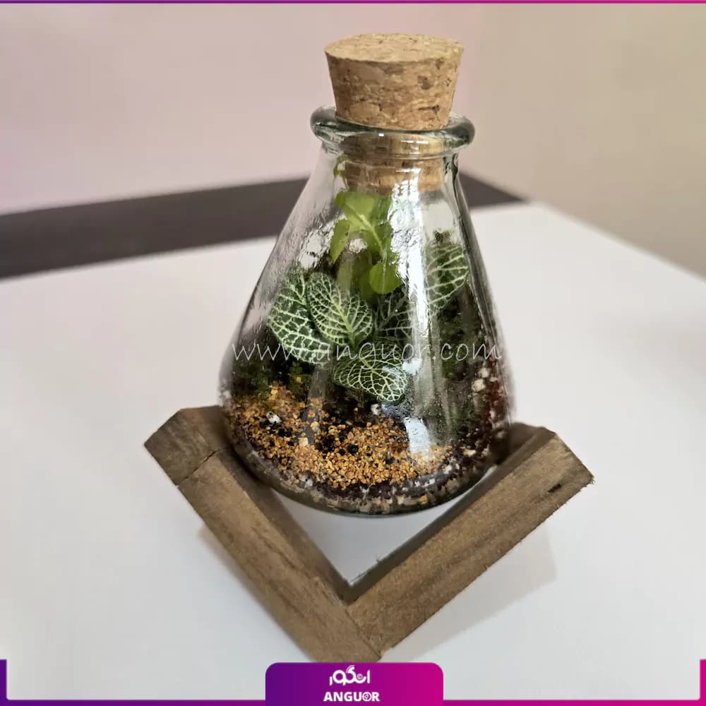 هدیه‌ای یلدایی برای عزیزانتان — تصویر ۵