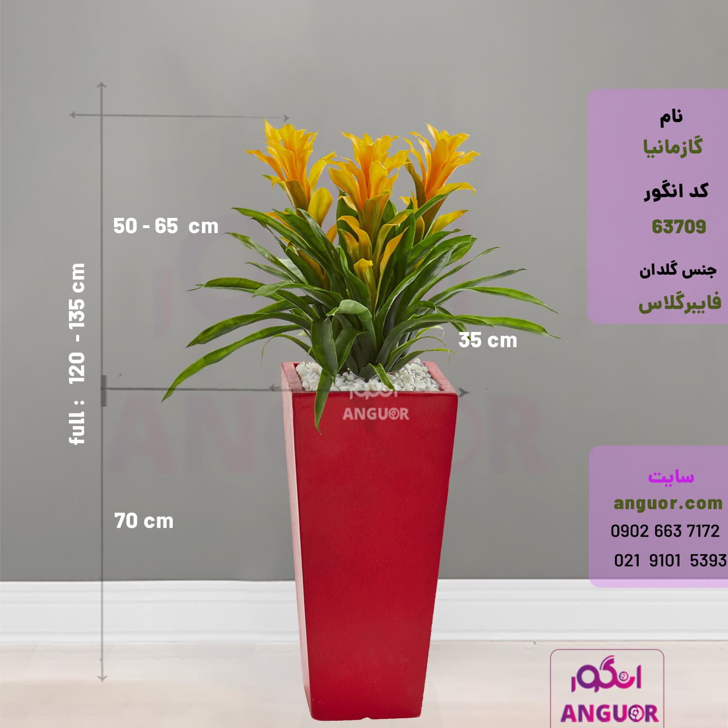 گلدان هدیه لوکس گازمانیا (در سه رنگ مختلف) — تصویر ۵