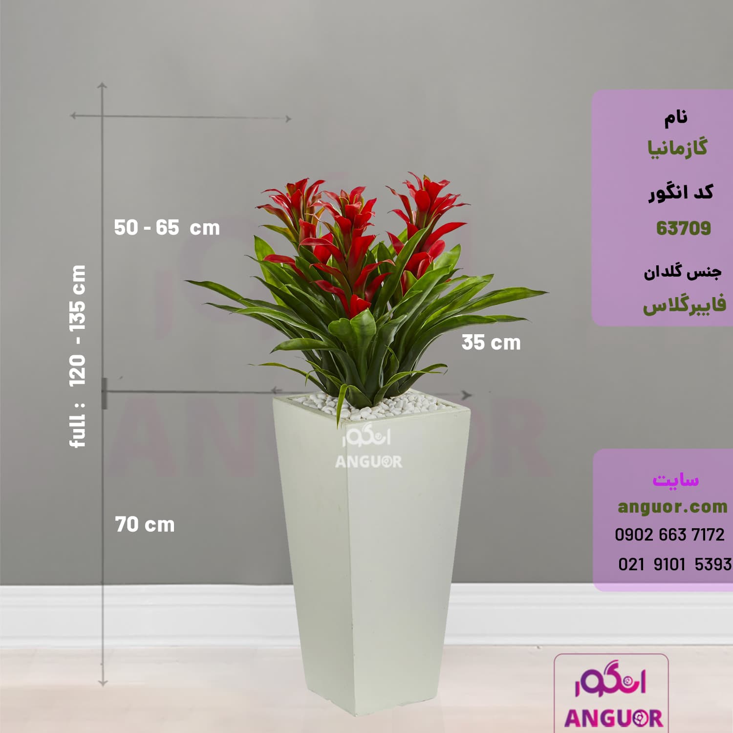 گلدان هدیه لوکس گازمانیا (در سه رنگ مختلف) — تصویر ۳