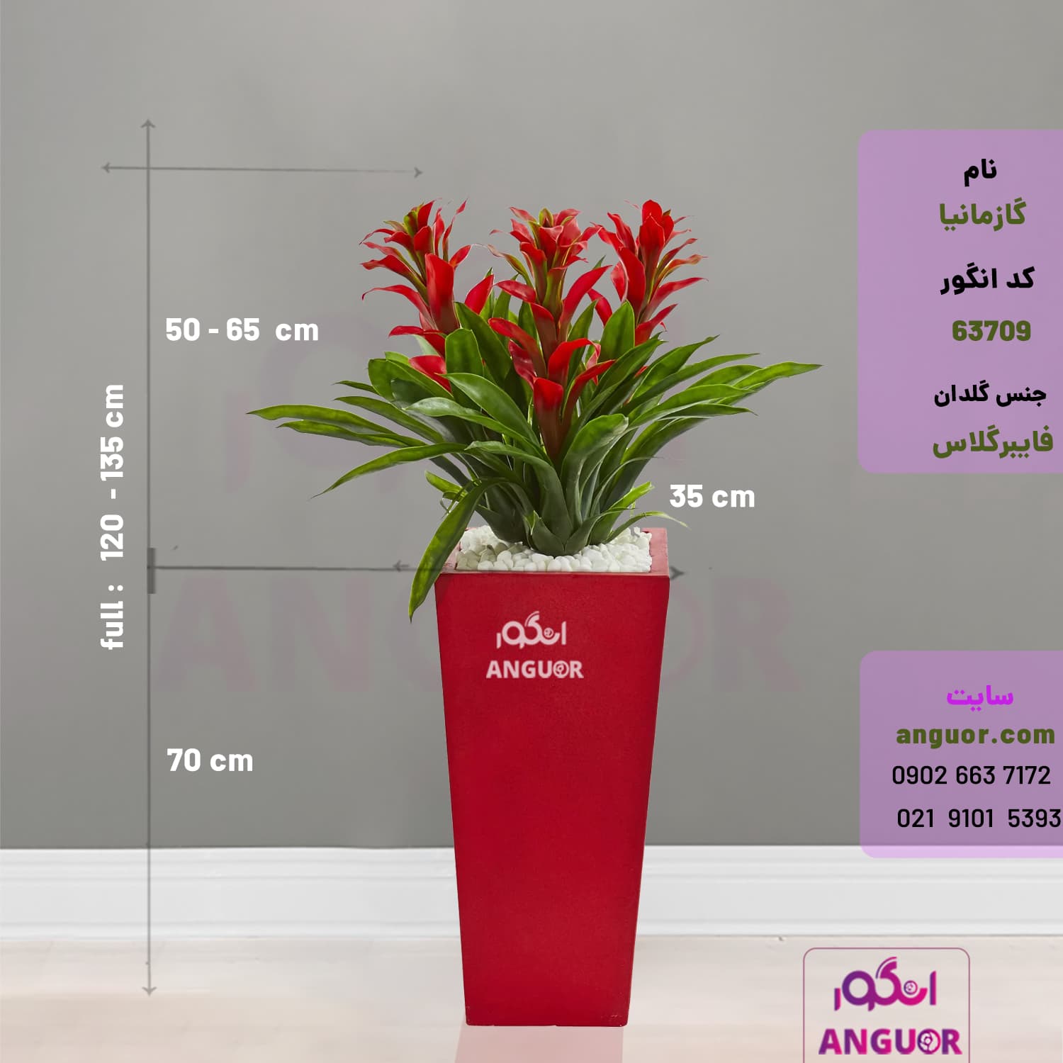 گلدان هدیه لوکس گازمانیا (در سه رنگ مختلف) — تصویر ۲