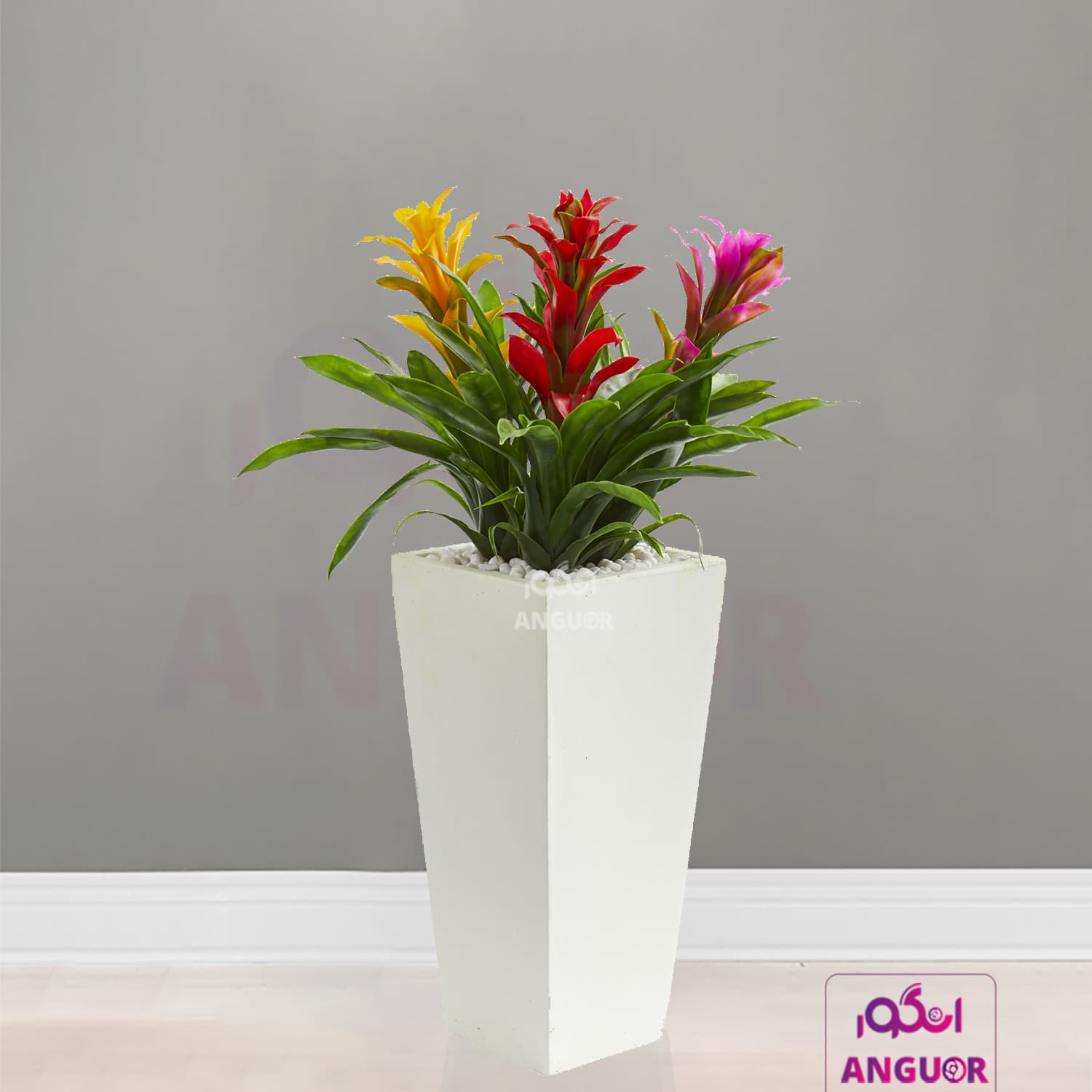 گلدان هدیه لوکس گازمانیا (در سه رنگ مختلف) — تصویر ۷