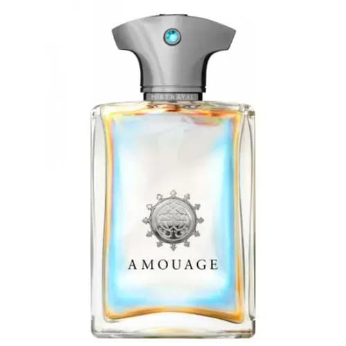 عطر ادکلن آمواج پورترایال آمواژ | AMOUAGE / AMOUAGE PORTRAYAL 100ML EDP — تصویر ۲