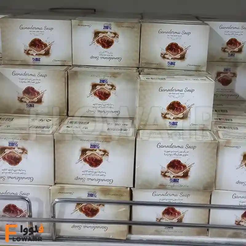 صابون گانودرما دکتر بیز (Biz) 100 گرمی — تصویر ۲