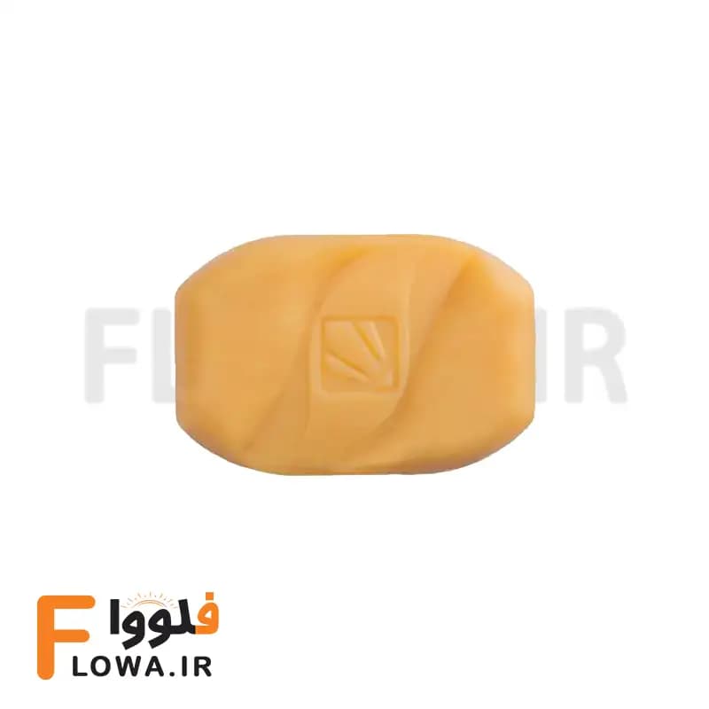 صابون گانودرما دکتر بیز (Biz) 100 گرمی — تصویر ۵