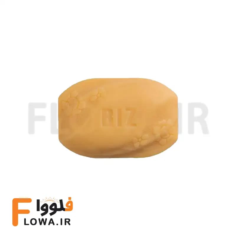 صابون گانودرما دکتر بیز (Biz) 100 گرمی — تصویر ۴