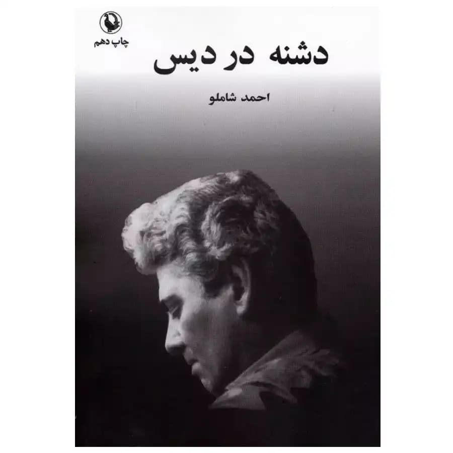 کتاب دشنه در دیس احمد شاملو — تصویر ۳
