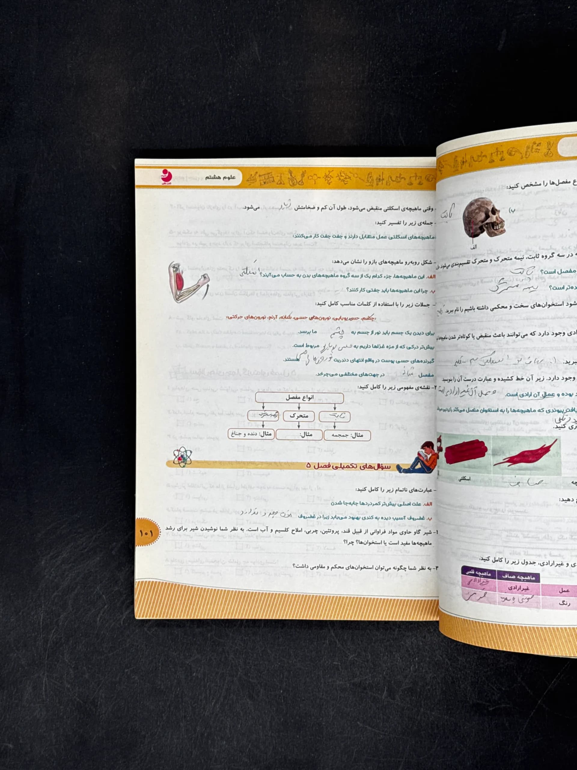 موثر علوم هشتم — تصویر ۴