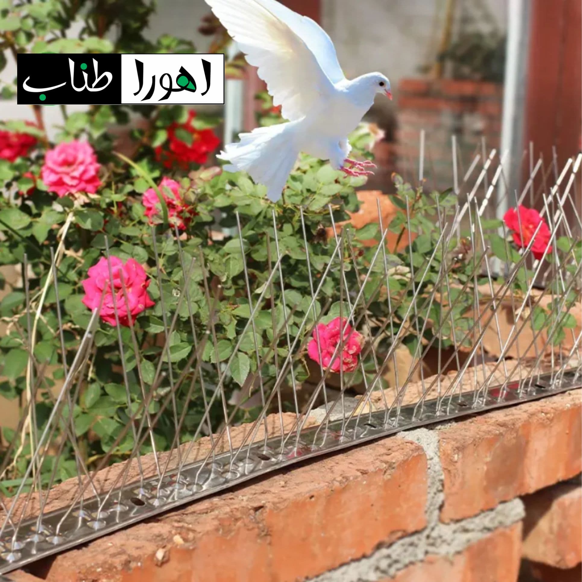 شاخک و میله ضد پرنده استیل – 50 سانت — تصویر ۴