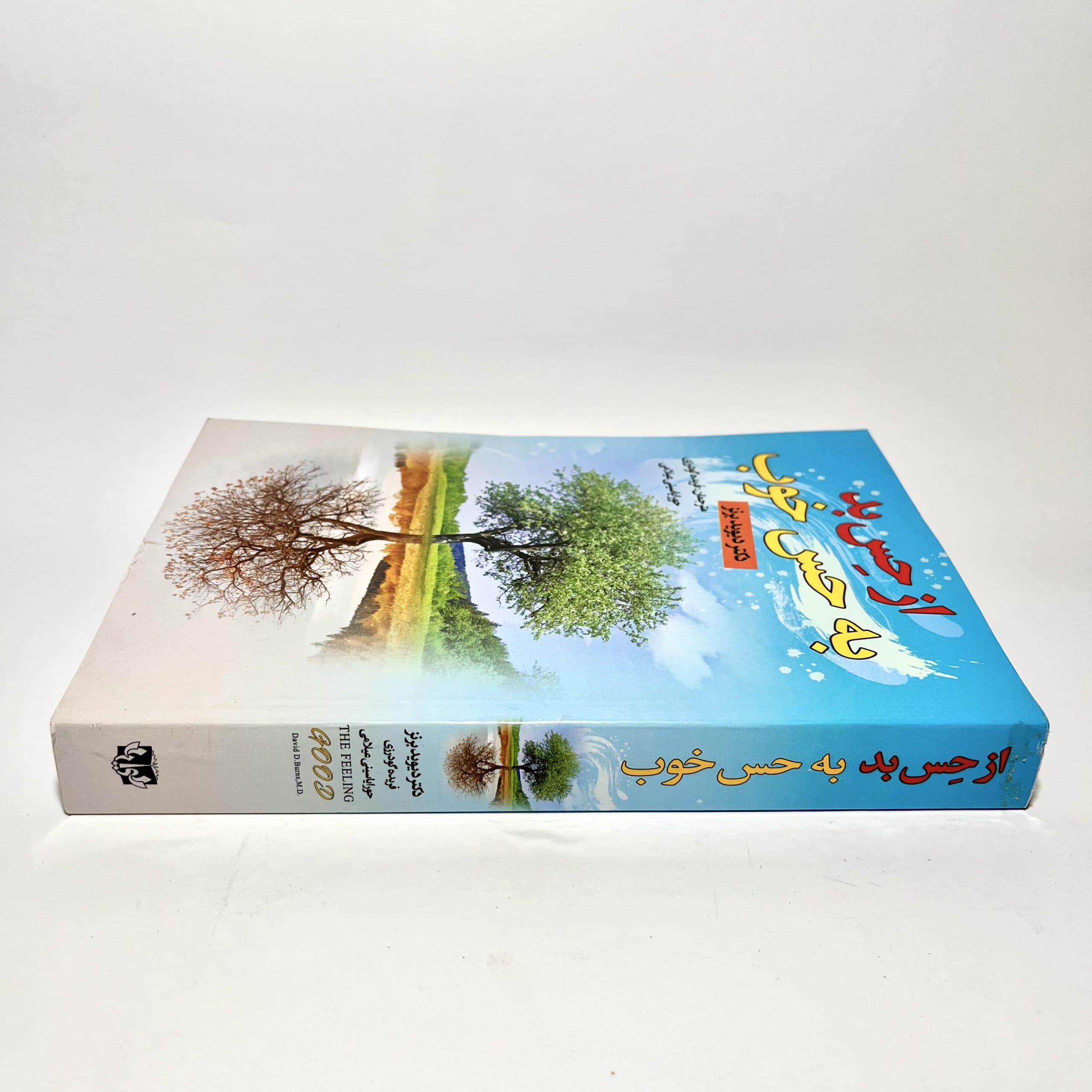 از حس بد به حس خوب اثر دیوید برنز — تصویر ۲