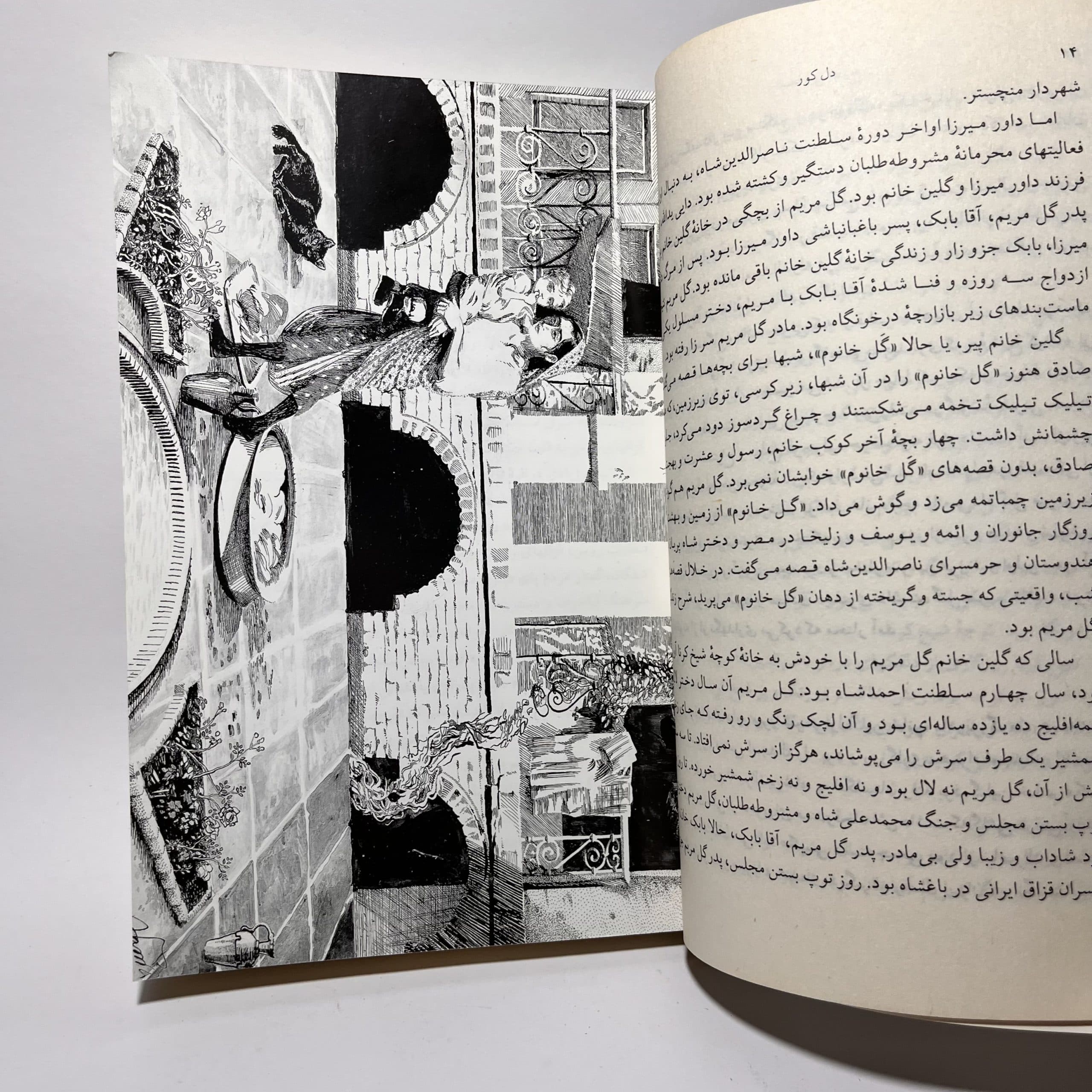 دل کور اثر اسماعیل فصیح — تصویر ۳
