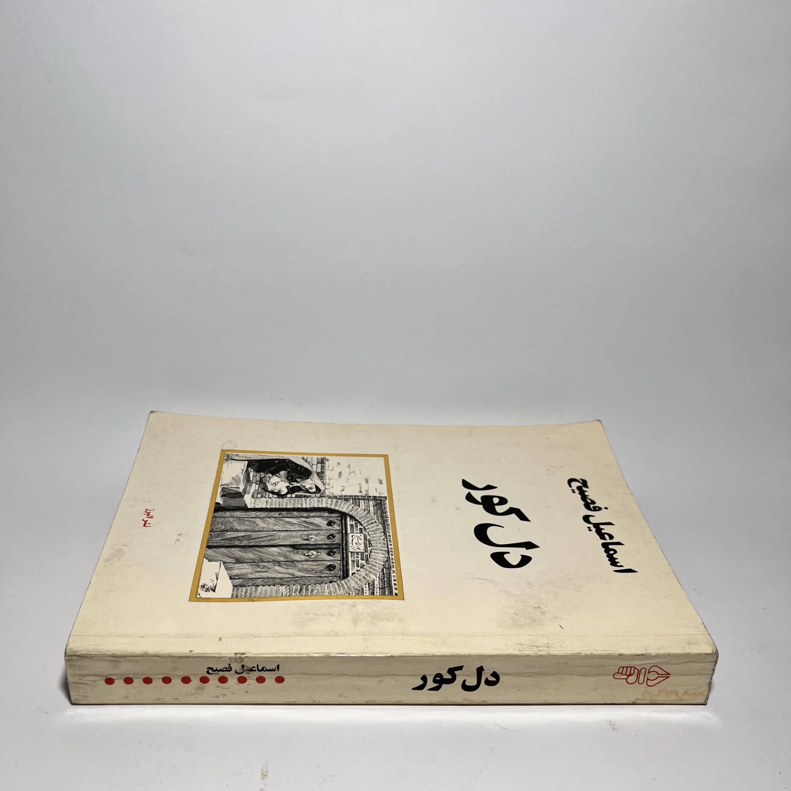 دل کور اثر اسماعیل فصیح — تصویر ۲