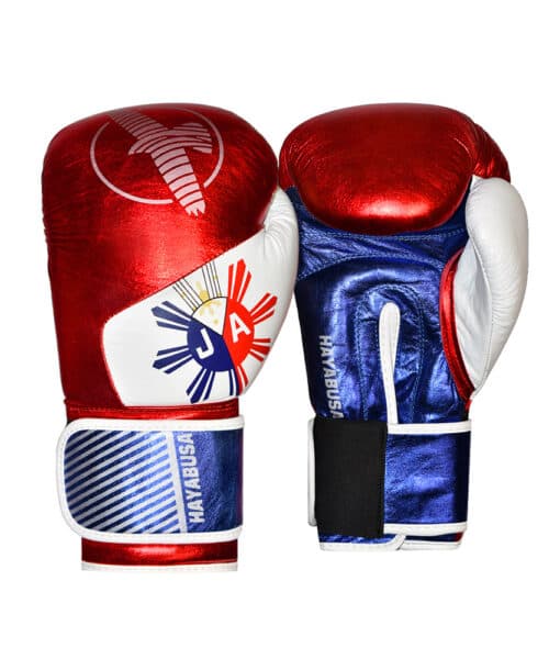 دستکش بوکس چرم HAYABUSA مدل J.A