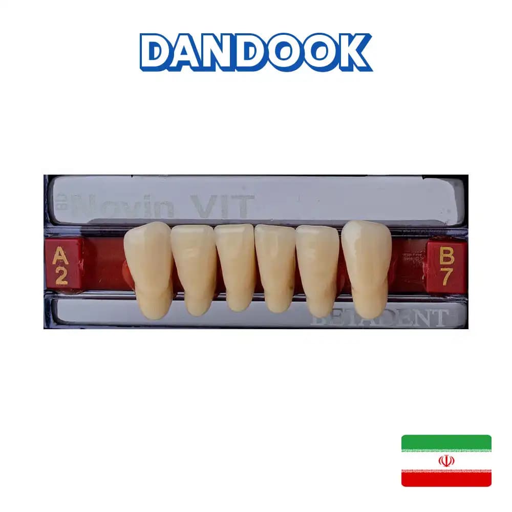 دست دندان مصنوعی قدامی پایین ۶ عددی نوین ویت بتادنت Novin Vit Artificial Teeth