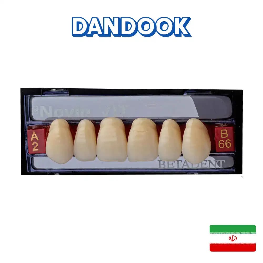 دست دندان مصنوعی قدامی بالا ۶ عددی نوین ویت بتادنت Novin Vit Artificial Teeth