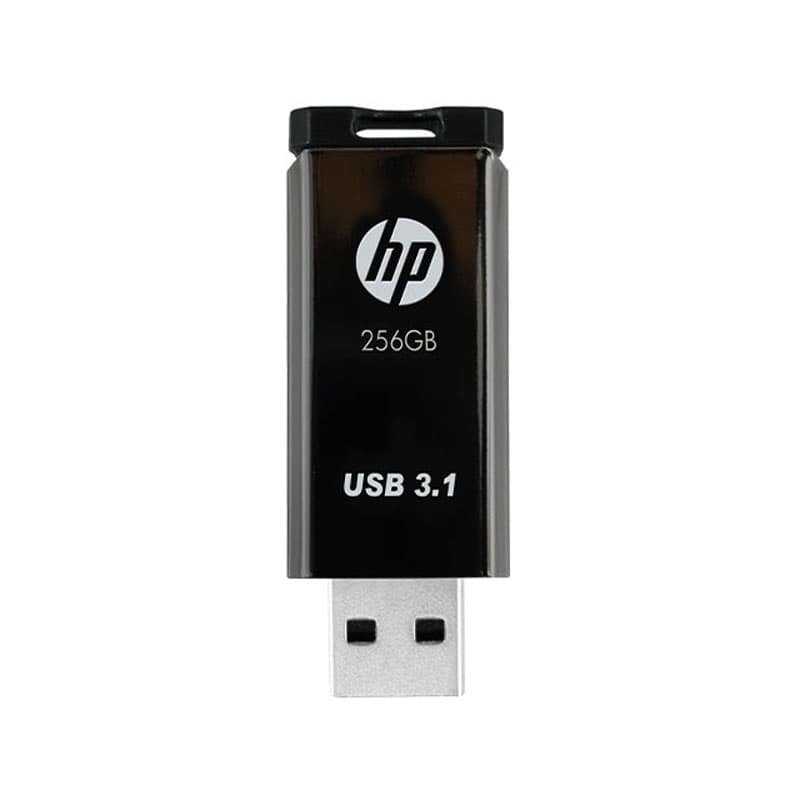 فلش مموری 256 گیگابایت اچ پی x770W