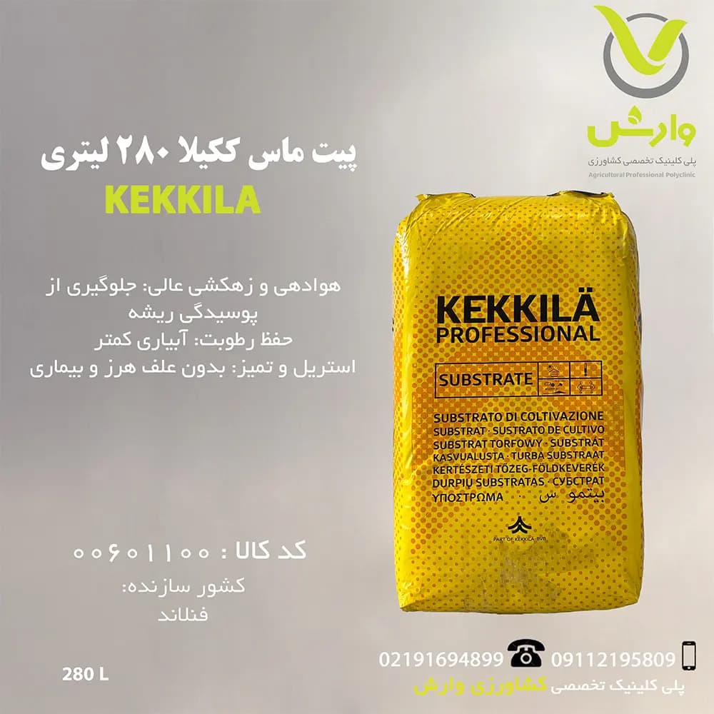 پیت ماس ککیلا — تصویر ۲
