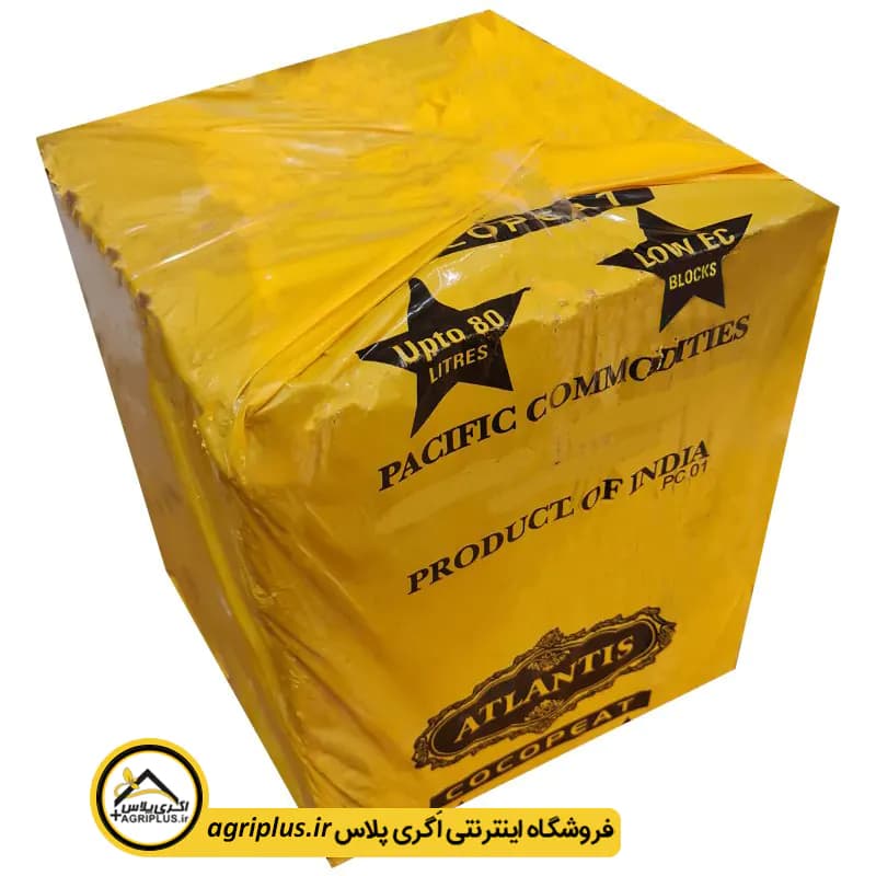 کوکوپیت فاین آتلانتیس