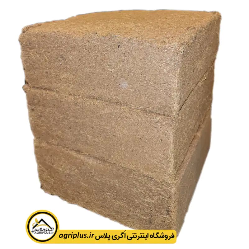 کوکوپیت فاین آتلانتیس — تصویر ۲