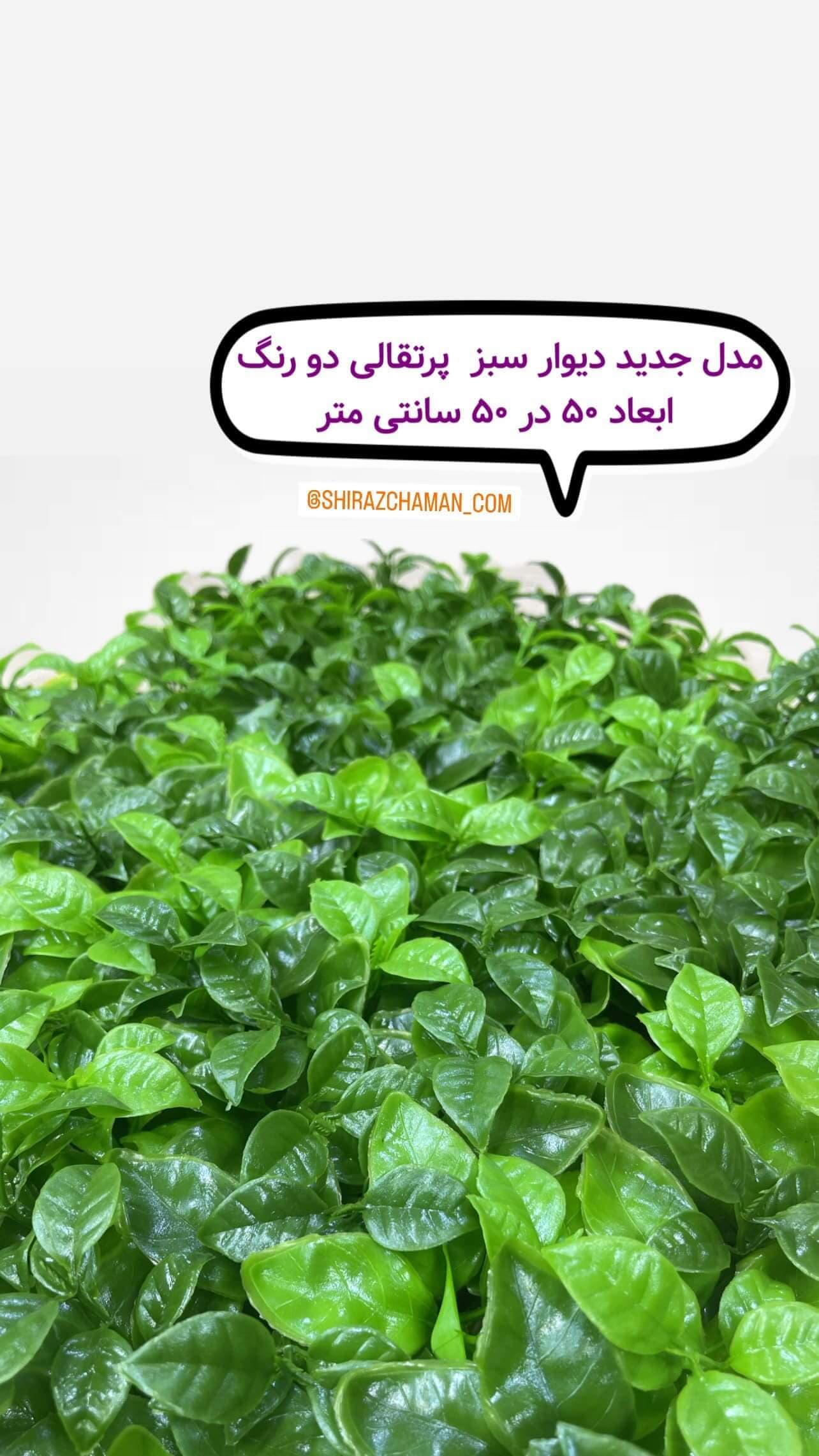 دیوار سبز مصنوعی مدل پرتقالی ابلغ — تصویر ۳