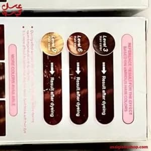 شامپو رنگ گیاهی دکسی رنگ شرابی|Dexy Herbal Hair Color Shampoo Burgundy| کد 2793 — تصویر ۴