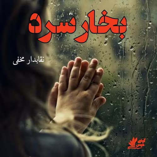 رمان بخار سرد نویسنده: نقابدار مخفی | دانلود | کتاب خوان