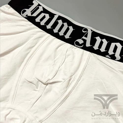 شورت مردانه باکسر بریف اورجینال وارداتی برند Palm Angels سفید کش مشکی 5 سانتی — تصویر ۴