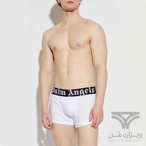 شورت مردانه باکسر بریف اورجینال وارداتی برند Palm Angels سفید کش مشکی 5 سانتی — تصویر ۲