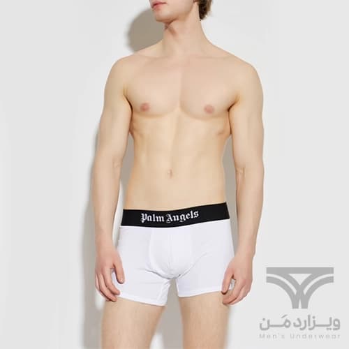 شورت مردانه باکسر بریف اورجینال وارداتی برند Palm Angels سرمه ای مشکی سفید کش 5 سانتی — تصویر ۳